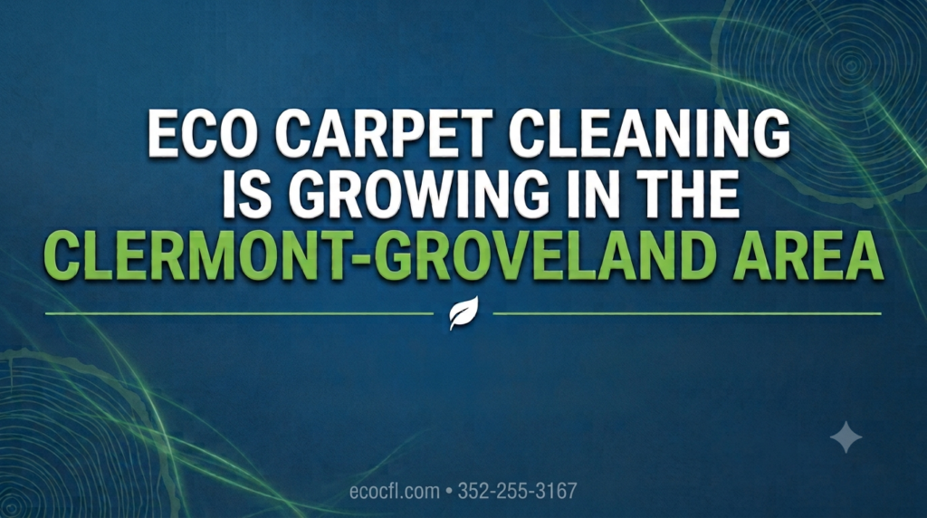 Eco Carpet Cleaning